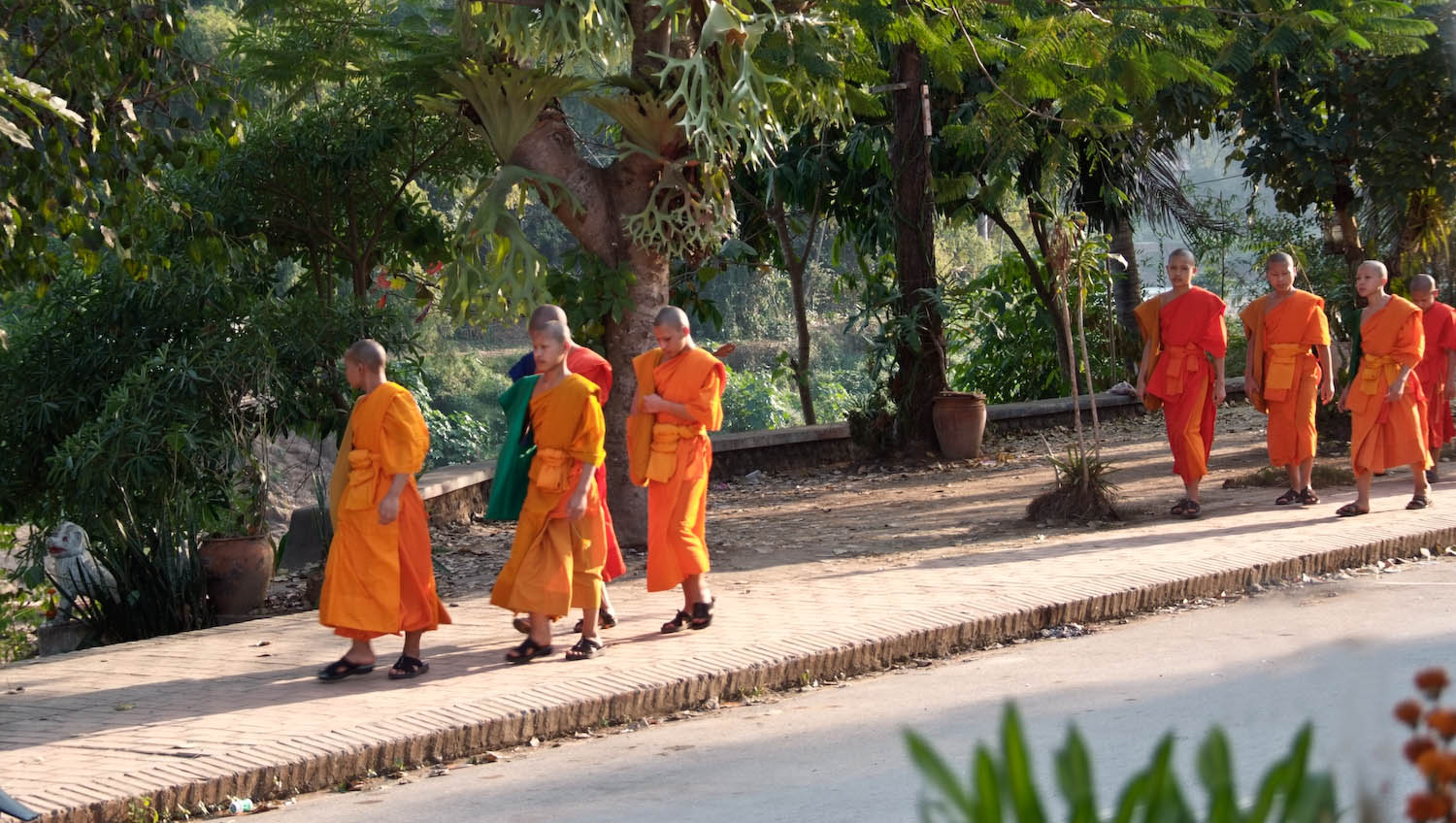 17-laos-0035-modifier