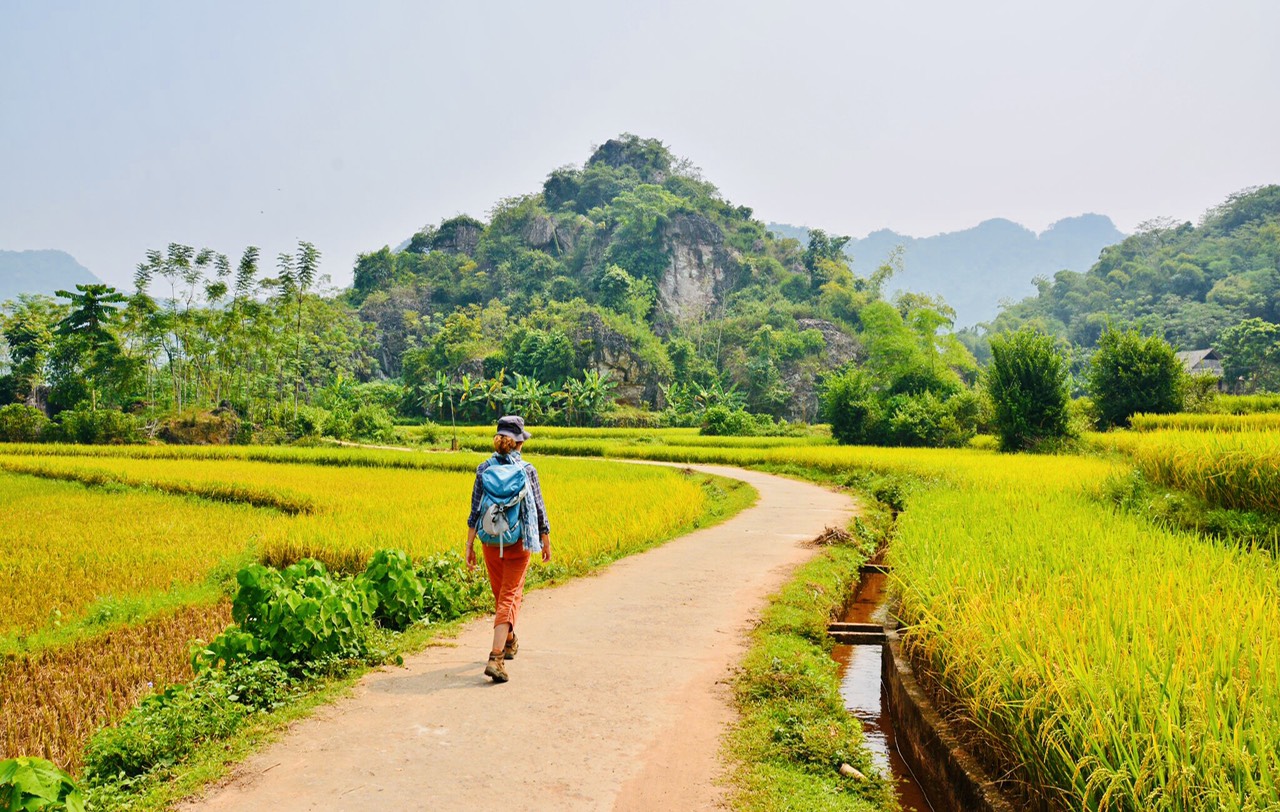 8 jours au Vietnam : Mai Chau, Pu Luong, Ninh Binh, Baie Lan Ha 8 jours au Vietnam : Mai Chau, Pu Luong, Ninh Binh, Baie Lan Ha