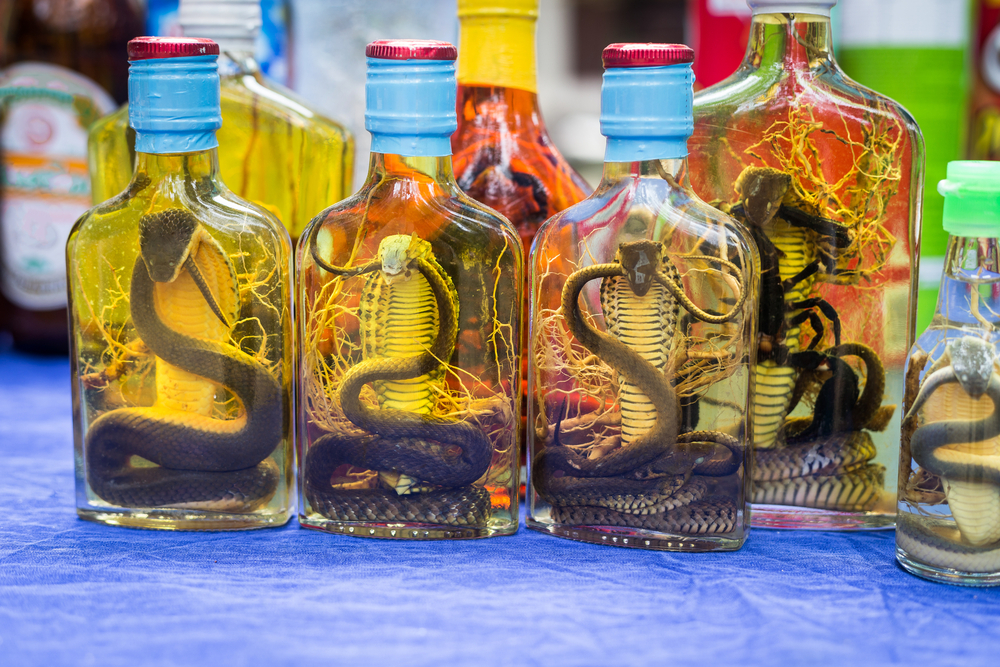 snake-wine