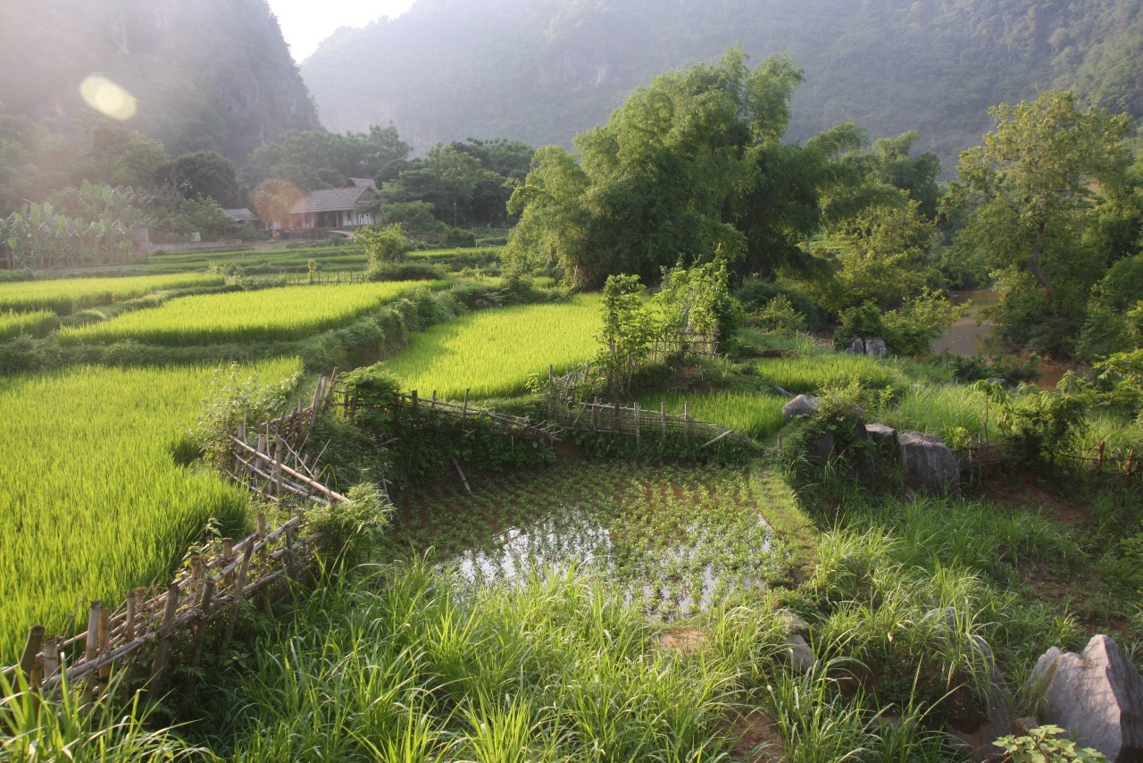 mai-chau-1