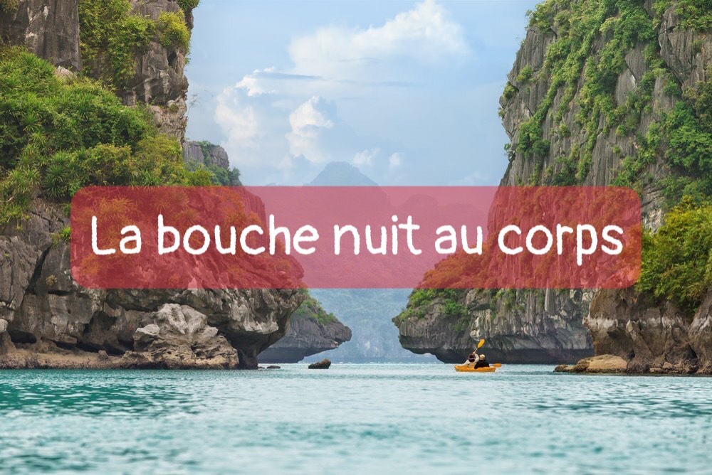 Un trésor des proverbes et des expressions idiomatiques du Vietnam