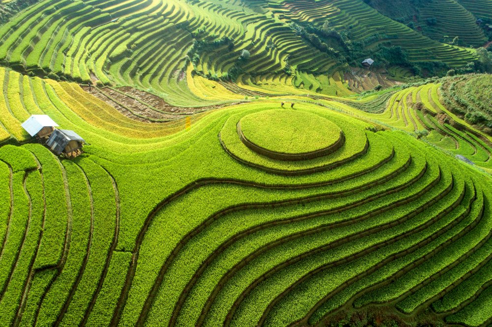 que-faire-a-mu-cang-chai-1