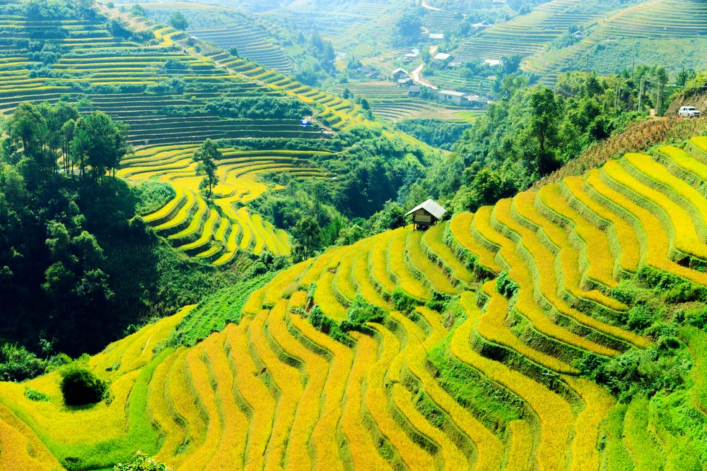 Que faire à Mu Cang Chai