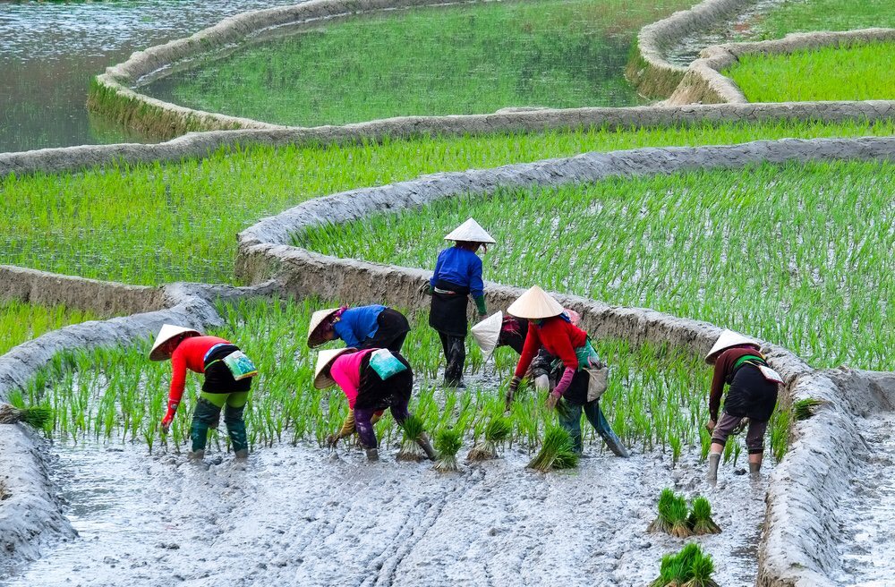 Trek à Pu Luong