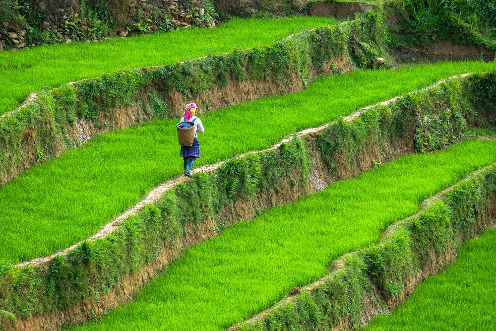 Circuit Nord Vietnam 12 jours : Incontournables et Aventure Circuit Nord Vietnam 12 jours : Incontournables et Aventure