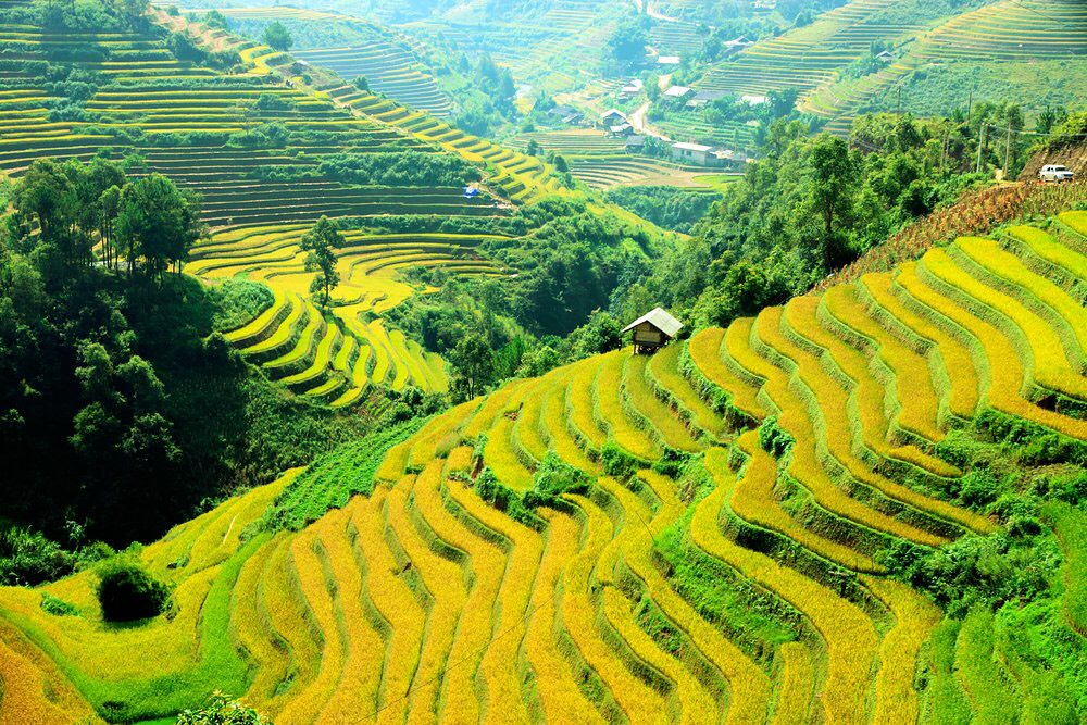 Trek à Hoang Su Phi