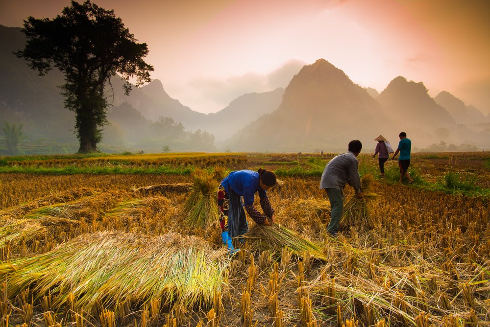 Trek à Cao Bang