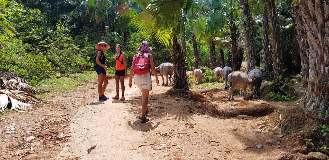 Où faire un trek au Vietnam