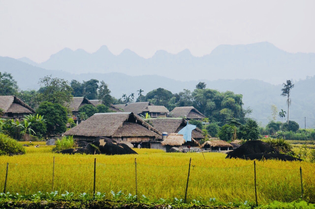 Circuit Nord Vietnam 15 Jours : Authentique et Inoubliable Circuit Nord Vietnam 15 Jours : Authentique et Inoubliable