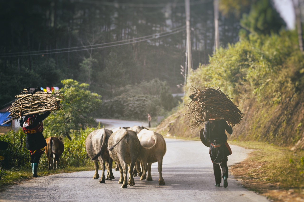 Trek de 21 Jours au Vietnam, entre Montagnes et Culture Trek de 21 Jours au Vietnam, entre Montagnes et Culture