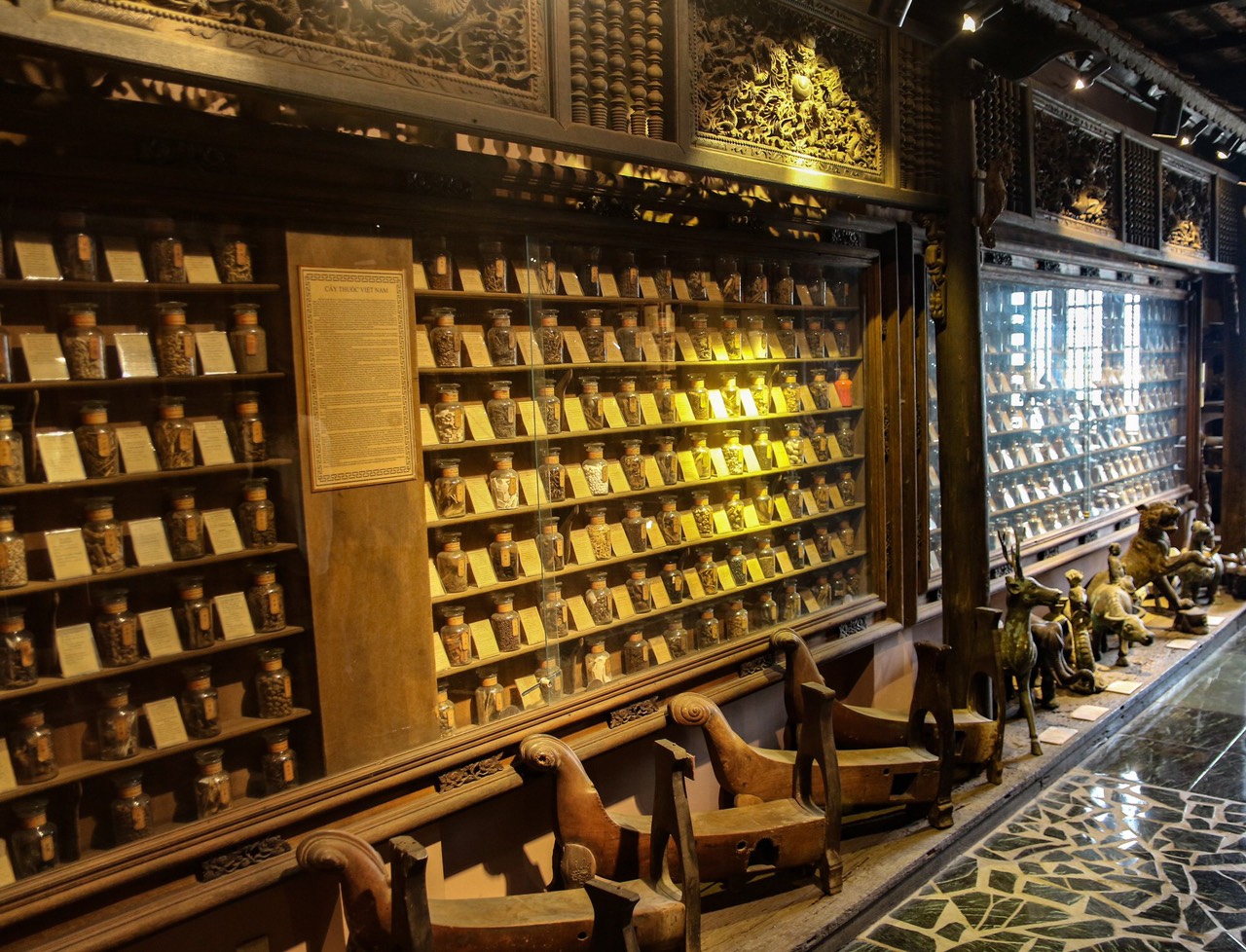 Musée de la médecine traditionnelle vietnamienne – Un lieu unique à visiter à Ho Chi Minh ville