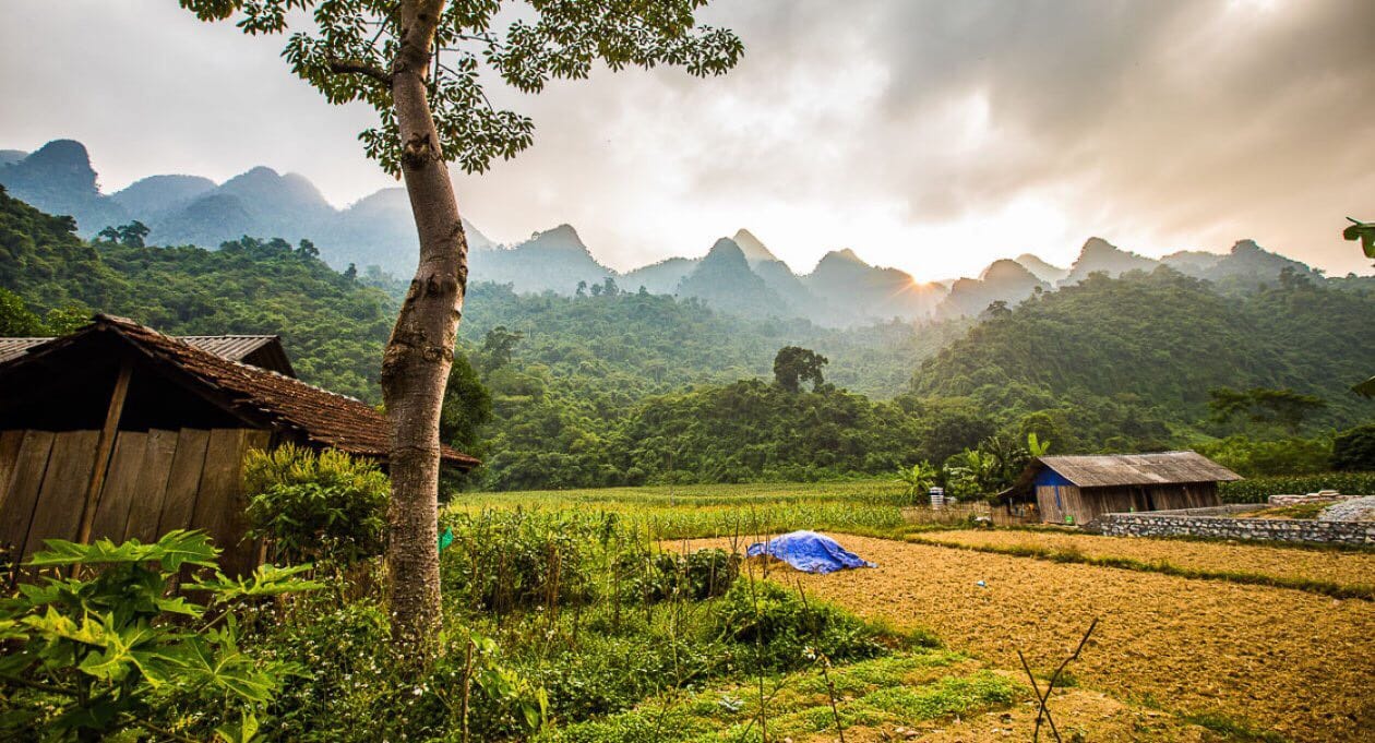Trek Nord-Est Vietnam : Immersion Ethnique en 8 Jours Trek Nord-Est Vietnam : Immersion Ethnique en 8 Jours