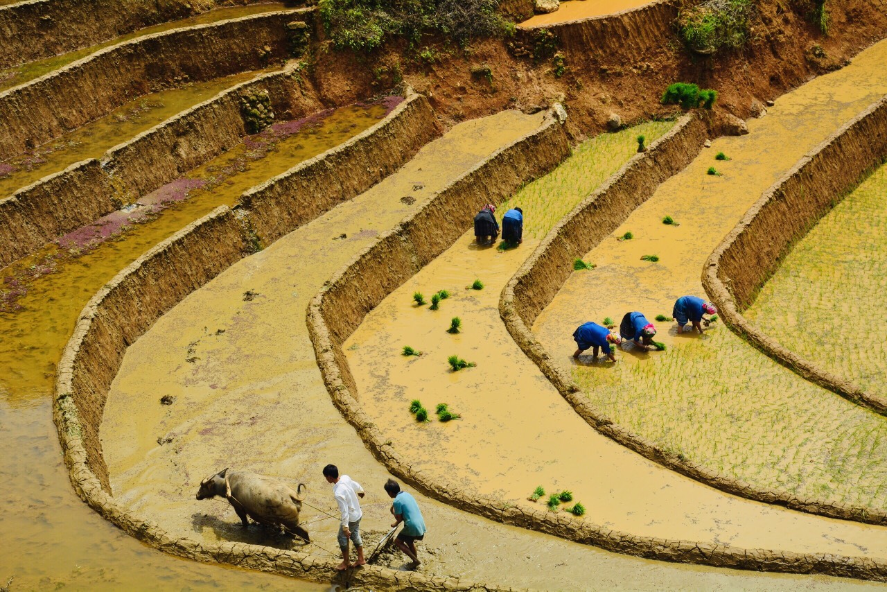 Circuit Vietnam 17 jours : Hanoi, Baie d’Halong, Hué, Hoi An Circuit Vietnam 17 jours : Hanoi, Baie d’Halong, Hué, Hoi An