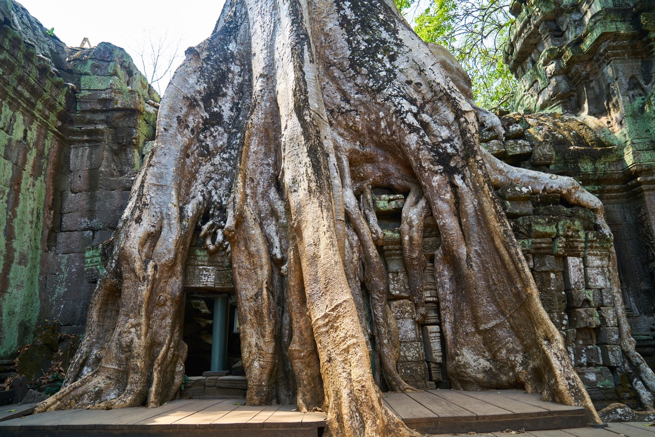 photo-siem-reap-3