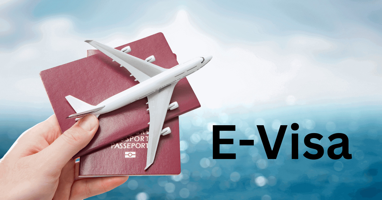 e-visa-banner