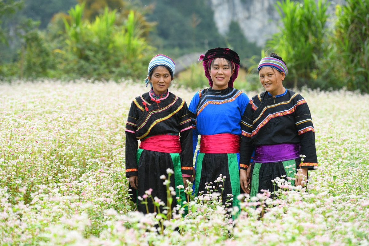 Les Co Lao du Vietnam