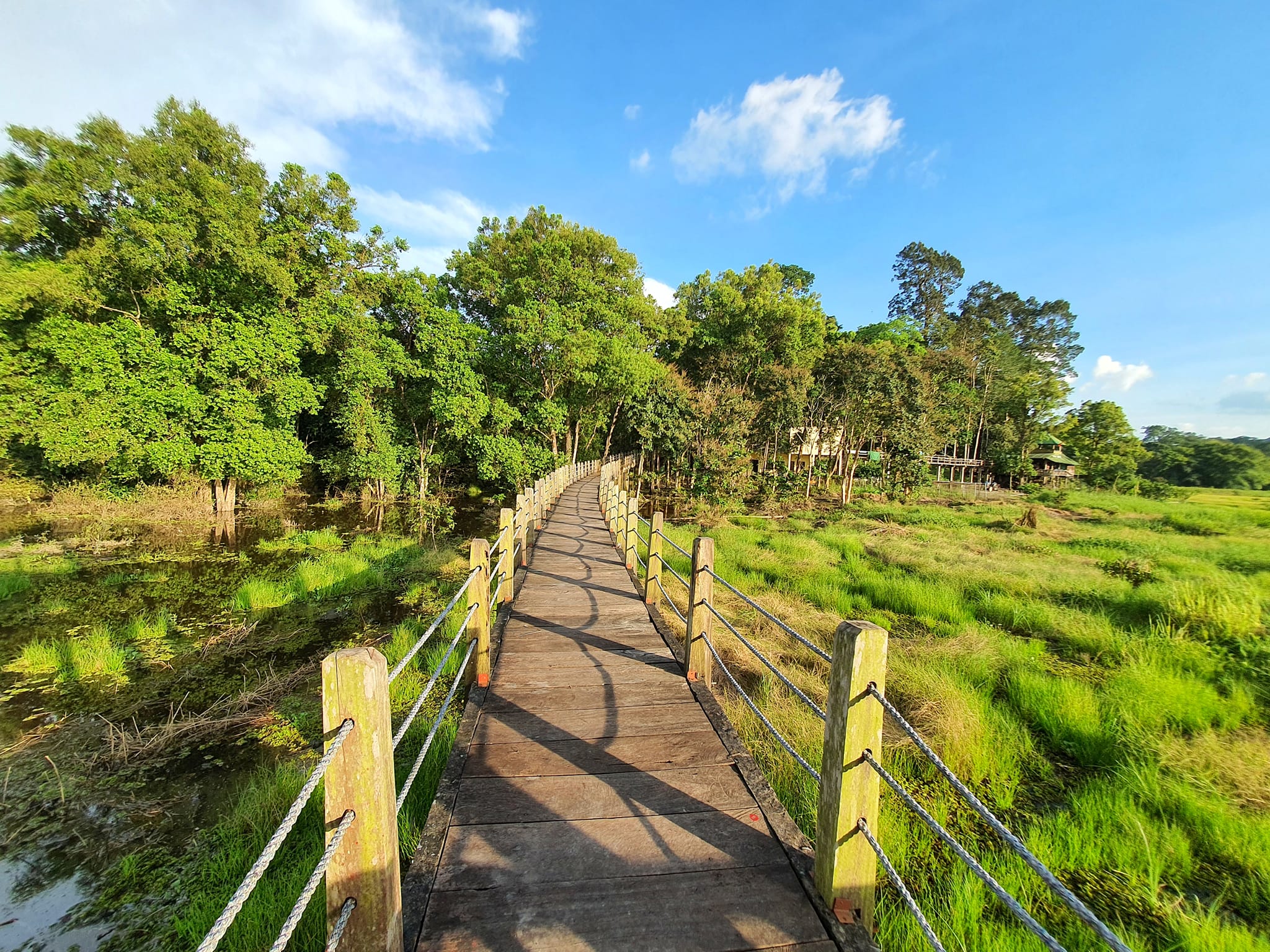 Le Parc Nam Cat Tien au sud Vietnam
