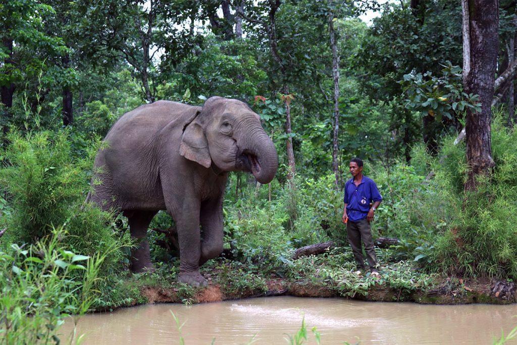 Voyage à Buon Ma Thuot, au royaume du café, au pays des éléphants