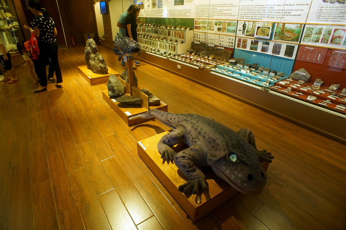 le Musée de la Nature du Vietnam