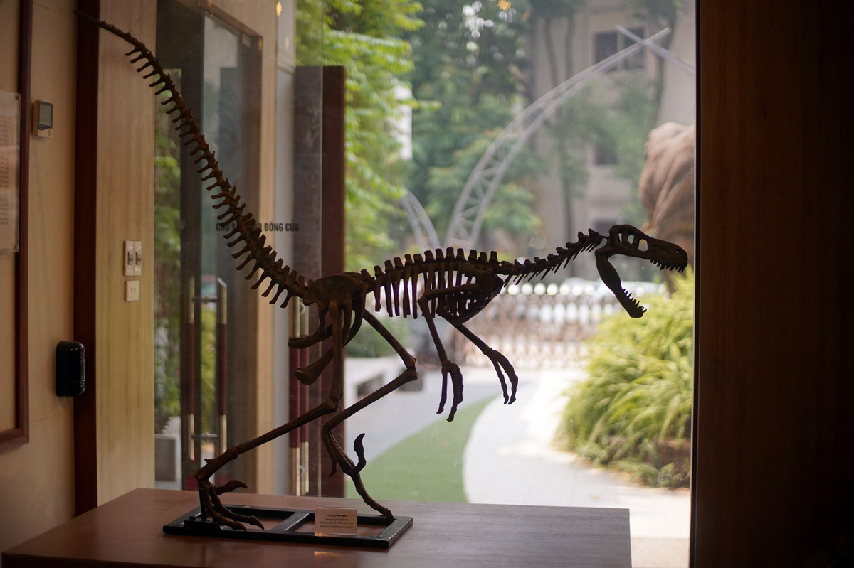 Explorez le musée de la nature du Vietnam – Ce qu’il faut savoir