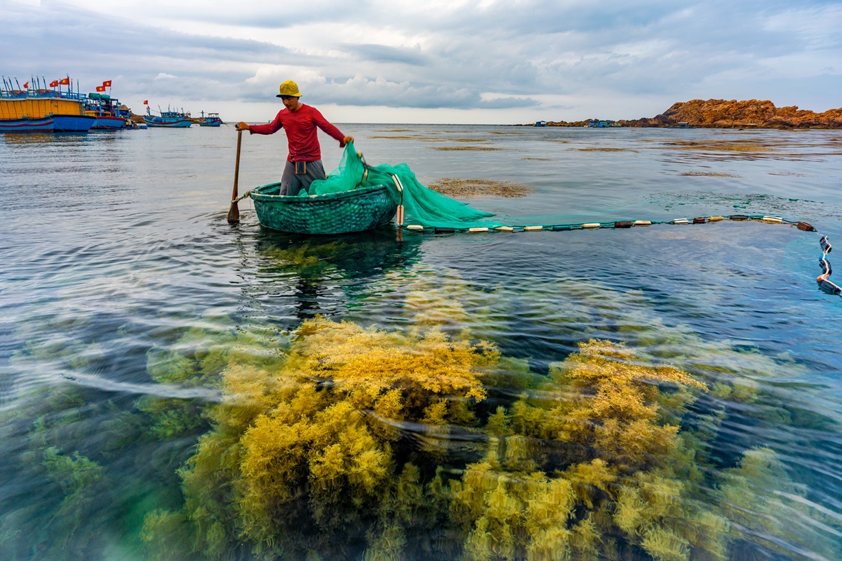 Découvrez le village de pêcheurs de Nhon Hai à Quy Nhon 