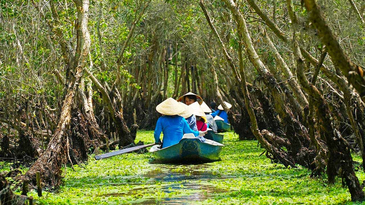 La forêt inondée de Tra Su – Paradis aux oiseaux