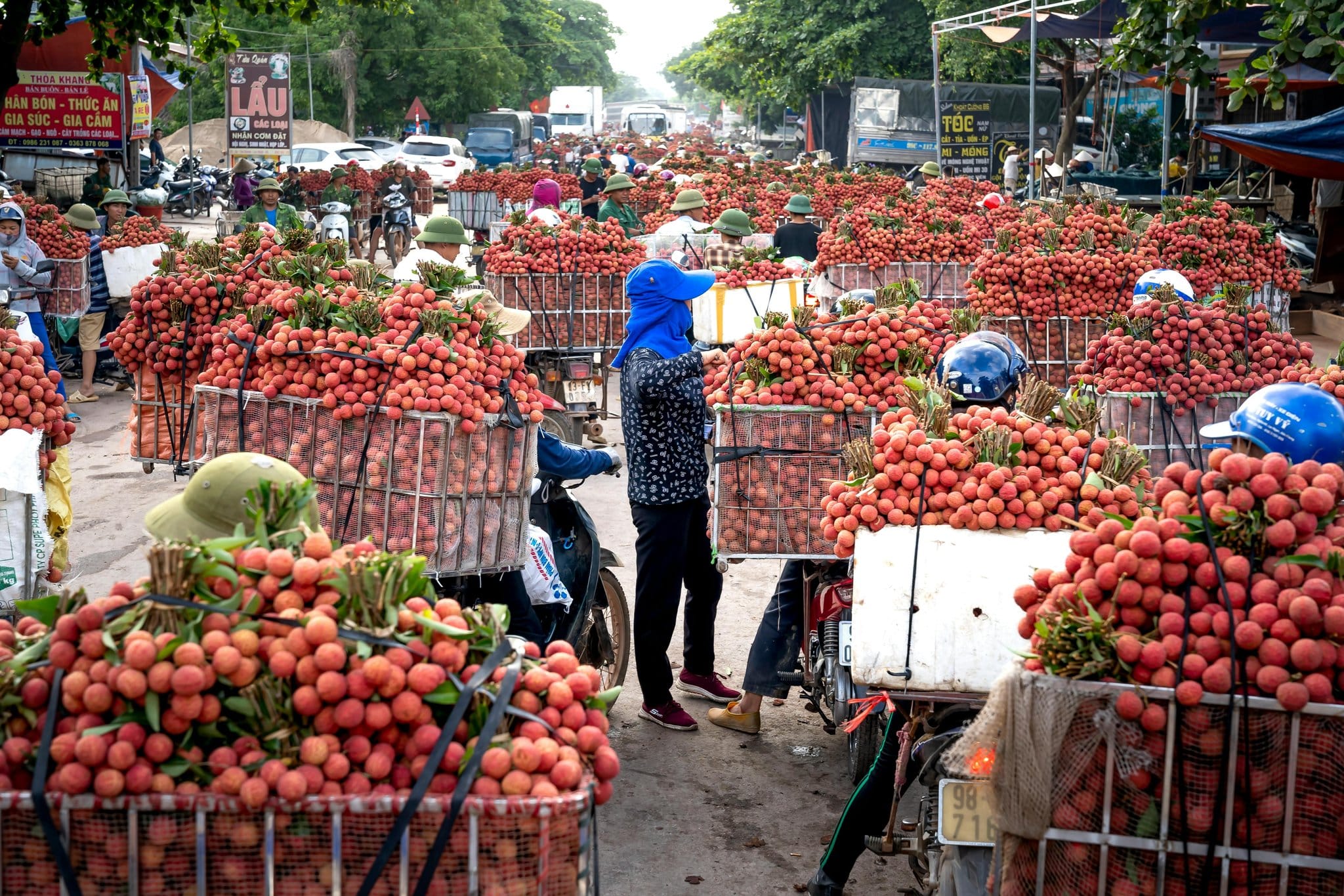 Les 20 fruits exotiques du Vietnam à déguster lors de votre voyage
